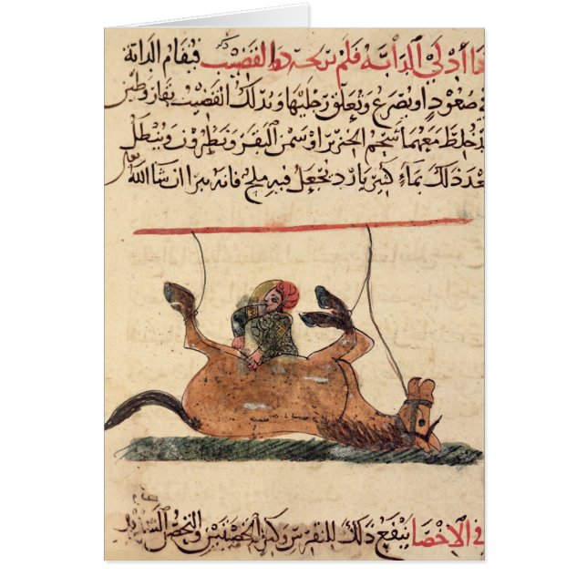 馬の操作、イラストレーション (正面)