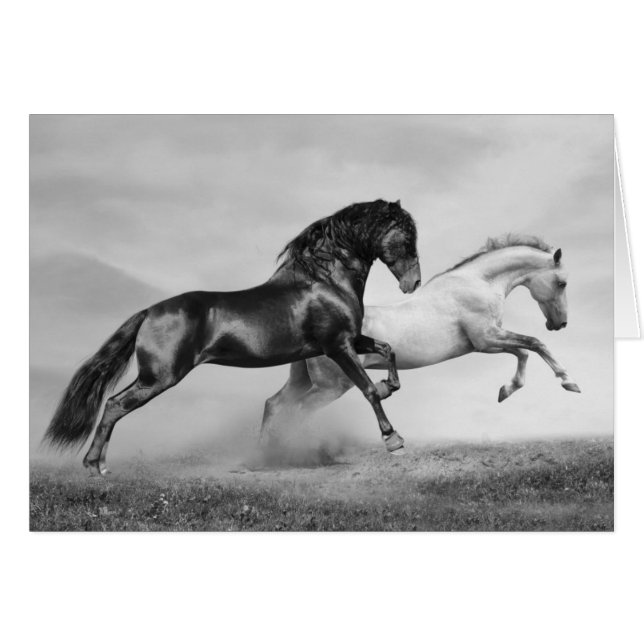 馬の操業 (正面横)