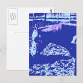 馬の放牧ポップ・アートの芸術 ポストカード (正面/裏面)