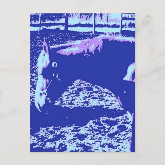 馬の放牧ポップ・アートの芸術 ポストカード (正面)
