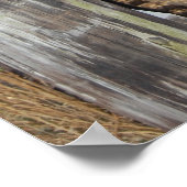 馬の放牧 ポスター (角)