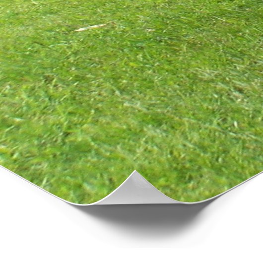 馬の放牧 ポスター (角)