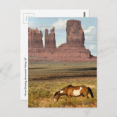 馬の放牧、モニュメントバレー、UT ポストカード (正面/裏面)