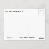 馬の放牧、モニュメントバレー、UT ポストカード (裏面)