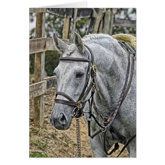 馬の救助 (正面)