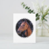 馬の星 ポストカード (スタンド正面)