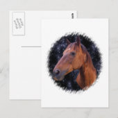 馬の星 ポストカード (正面/裏面)