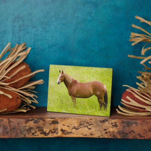 馬の春場 フォトプラーク (側面)