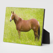 馬の春場 フォトプラーク (側面)