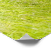 馬の春場 ポスター (角)