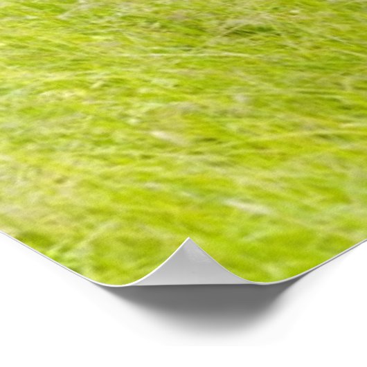 馬の春場 ポスター (角)