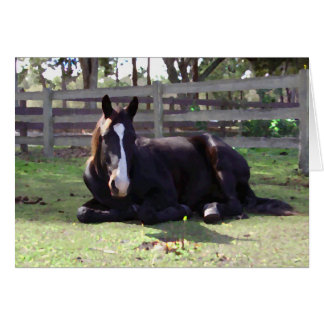 馬の昼寝の時間