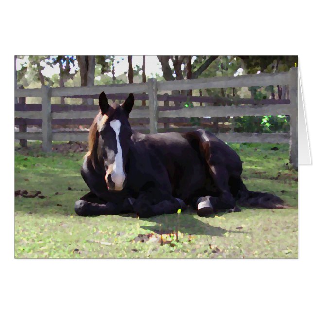 馬の昼寝の時間 (正面横)