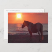 馬の朝日 ポストカード (正面/裏面)