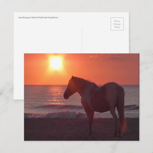 馬の朝日 ポストカード (正面/裏面)