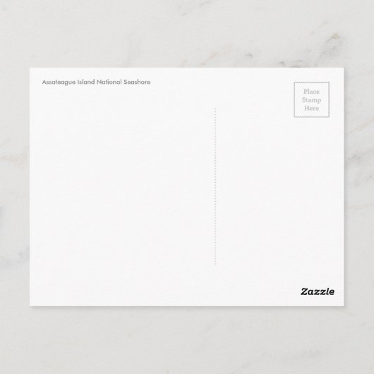 馬の朝日 ポストカード (裏面)