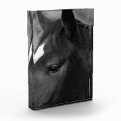 馬の棒 フォトブロック (左)