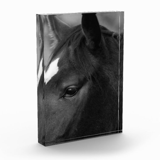 馬の棒 フォトブロック (左)