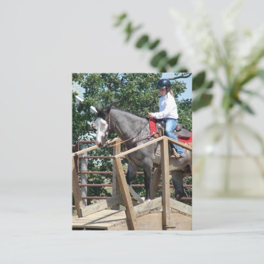 馬の橋のトレイルのクラス郡フェア ポストカード (スタンド正面)