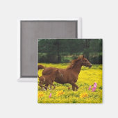 馬の母親とベビー マグネット (正面/裏面)