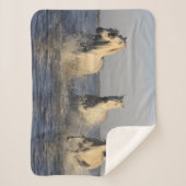 馬の毛布 シェルパブランケット (正面)