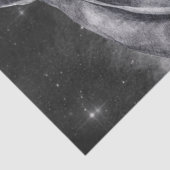 馬の水色 薄葉紙 (詳細)