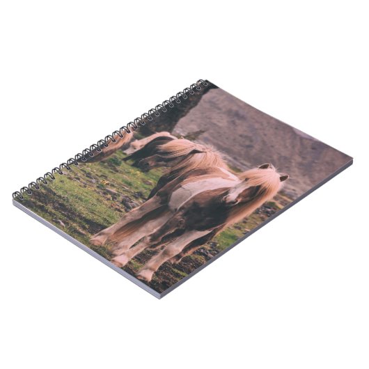 馬の浅焦点撮影 ノートブック (左側)