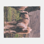 馬の浅焦点撮影 フリースブランケット (正面(横))