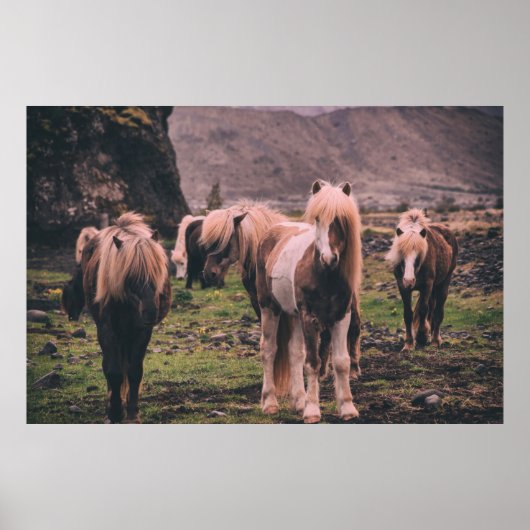 馬の浅焦点撮影 ポスター (正面)