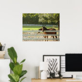 馬の牧草写真のポスターアート ポスター (ホームオフィス)