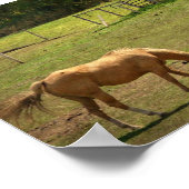 馬の牧草 ポスター (角)