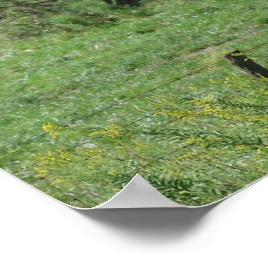 馬の牧草 ポスター (角)