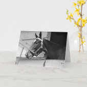 馬の白黒、誕生日 カード (黄色い花)