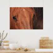 馬の皮 ポスター (キッチン)