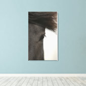 馬の目と髪のクローズアップ キャンバスプリント (インサイチュ (ウッドフロア))