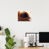 馬の目のポスターの反射 ポスター (ホームオフィス)