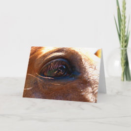 馬の目の反射 カード