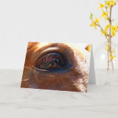 馬の目の反射 カード (黄色い花)