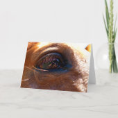 馬の目の反射 カード (正面)