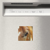 馬の目をクローズアップ マグネット (インサイチュ (食洗機))