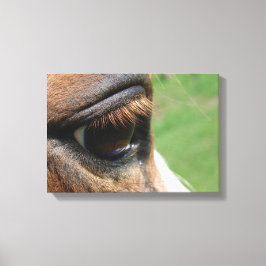 馬の目 キャンバスプリント