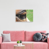 馬の目 キャンバスプリント (インサイチュ (リビング))