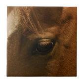 馬の目 タイル (正面)