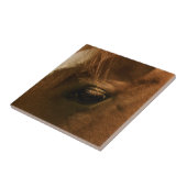 馬の目 タイル (側面)