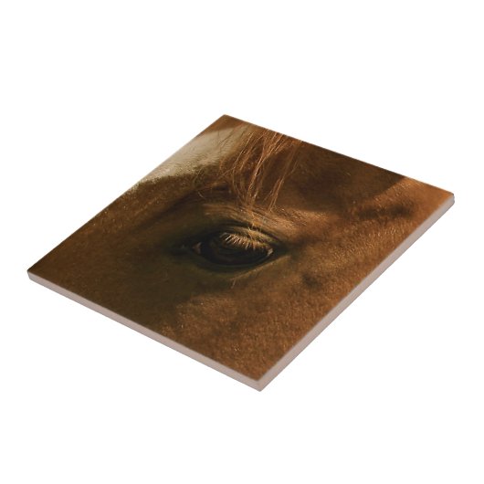 馬の目 タイル (側面)