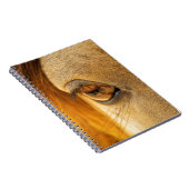 馬の目 ノートブック (右側)