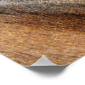 馬の目 ポスター (角)