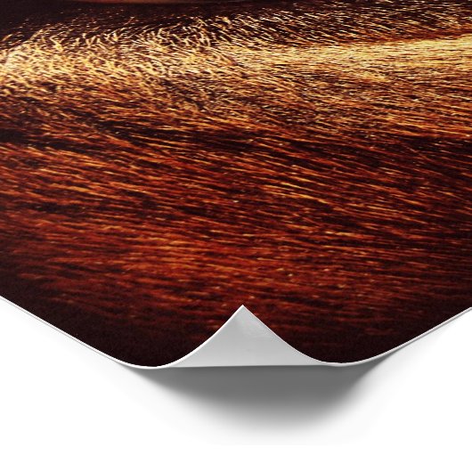 馬の目 ポスター (角)