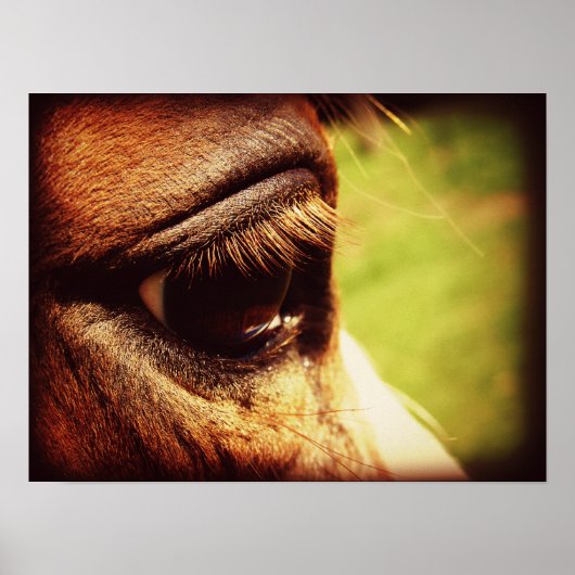 馬の目 ポスター (正面)