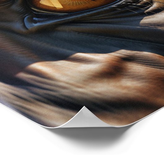 馬の目 ポスター (角)